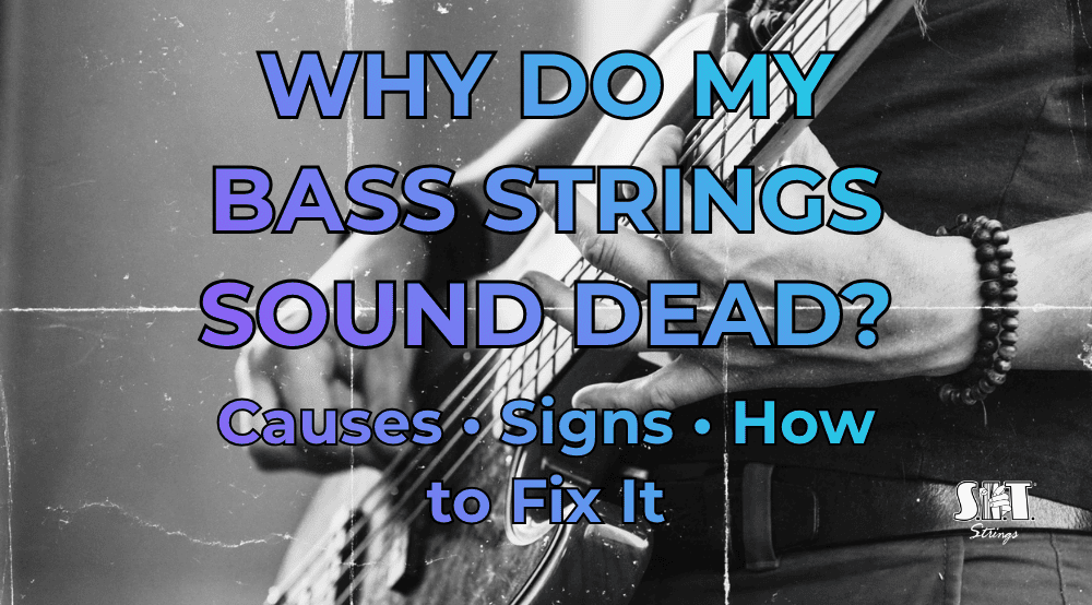 Bass guitar strings close up with the title Why Do My Bass Strings Sound Dead